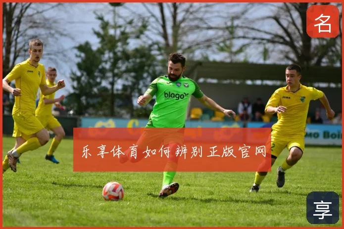 乐享体育如何辨别正版官网